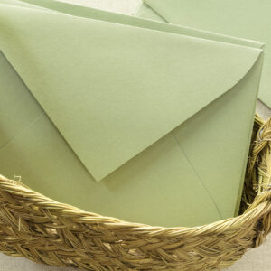 Sobre C5 con solapa de pico Verdigris